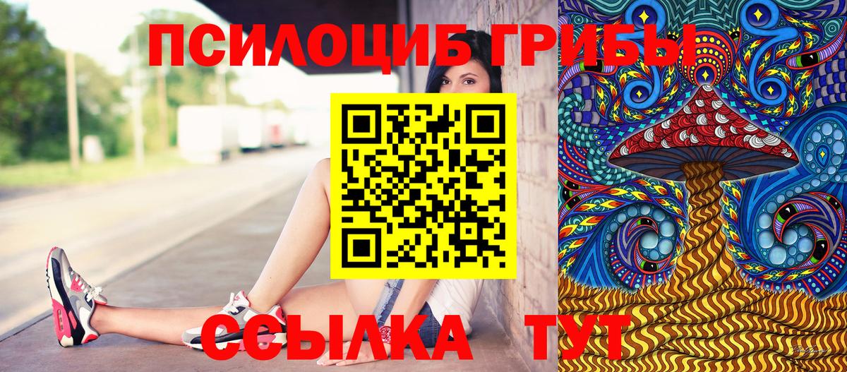 Псилоцибиновые грибы прущие грибы Урай